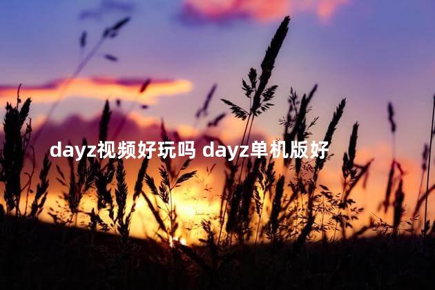 dayz视频好玩吗 dayz单机版好玩吗